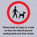 please-keep-all-dogs-on-a-lead-as-they-can-disturb-ground-nesting-birds-and-thei~